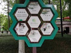 -温江公园