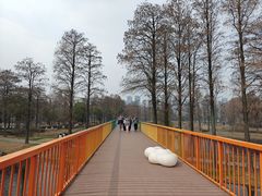 -东湖落雁景区