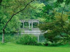 -西湖外事游船(花港观鱼码头)