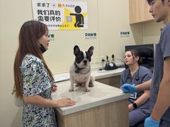 -佩兹宠物医院肿瘤专科·眼科·牙科(黄浦店)