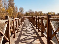 -野鸭湖国家湿地公园