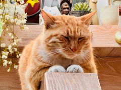 -Vanillacafe香草咖啡(银海大世界店)