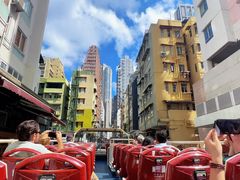 -Big Bus Tours 敞篷观光巴士
