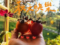 -四明山国家森林公园