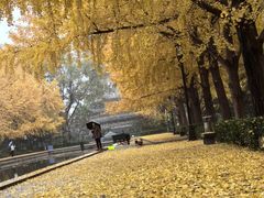-玲珑塔公园