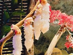 -蟹犇前•帝王蟹雪蟹(陆家嘴店)