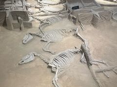 -洛阳周王城天子驾六博物馆