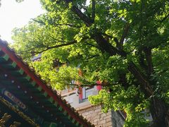 -千佛山风景名胜区