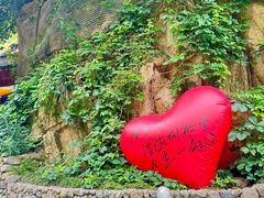 -将军关探险漂流