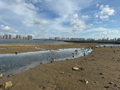 -养马岛旅游度假区