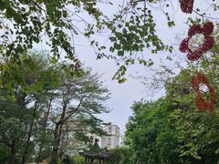 -广州文化公园