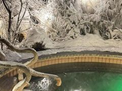 -长白山聚龙火山温泉
