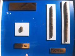 -上海昆虫博物馆