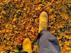 -汉长安城未央宫国家考古遗址公园