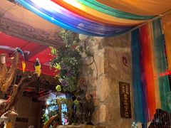 -老牌坊云南鱼豆花火锅(嵩山店)