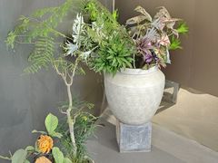-靳晖金百合花艺GOLDENLILY(南院门店)