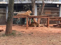 -昆明动物园