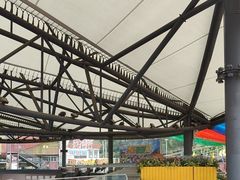 -移动谜城·大笨象密室逃脱(五棵松店)