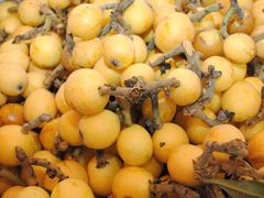 -西山樟坞健康果园枇杷杨梅采摘