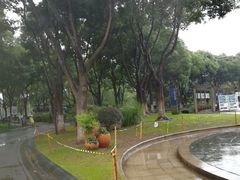 -昆山城市生态森林公园