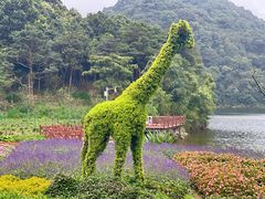 -广州市石门国家森林公园
