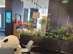 -眉州东坡(北苑华贸店)