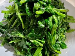 -鸽子窝(青塔店)