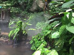 -呀诺达热带雨林