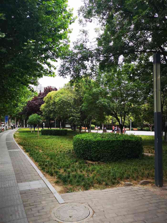 长庆兴隆园小区2区-"都说今天天气不错,适合晒被子."-大众点评移动版