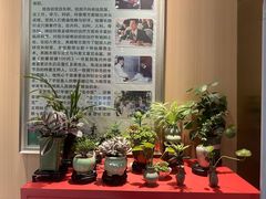 -手佳按摩·足疗·艾灸(博物院中山陵店)