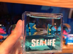 -沈阳海洋探索中心