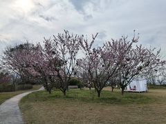 -福建鲤鱼洲酒店
