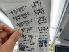 -港珠澳大桥(珠海段)