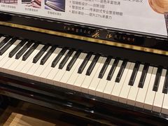 -柏斯音乐艺术中心·钢琴·吉他(上音店)