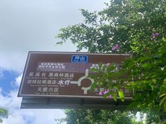 -东部华侨城