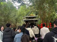-伊岭岩风景区
