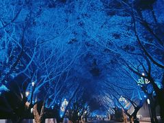 -禅驿嘉定院子-禅欢江景餐厅·中餐·户外烧烤定制(乐山大佛店)
