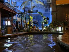 -陆地游轮吉林神农温泉