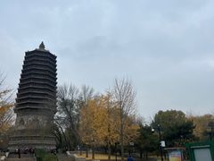 -玲珑塔公园
