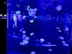 -重庆欢乐海底世界