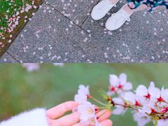 -龙美术馆(西岸馆)