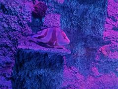 -沈阳海洋探索中心