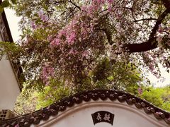 -深圳国际园林花卉博览园