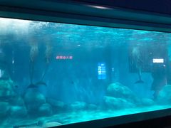 -福州罗源湾海洋世界旅游区