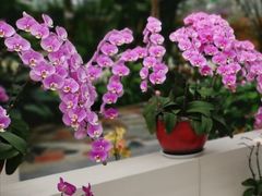 -兰陵国家农业公园