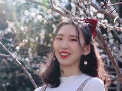 -广州市流溪河国家森林公园