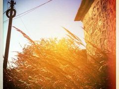 -东天目山风景区