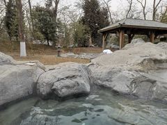 -和园景逸大酒店朗月汤泉