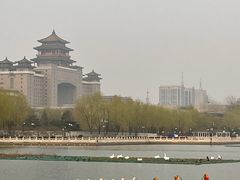 -莲花池公园