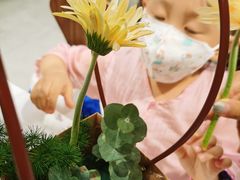 -LensCrafters亮视点·Nikon尼康精选(北京嘉里中心店)